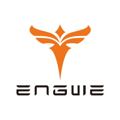 Engwe DE Coupons and Promo Codes